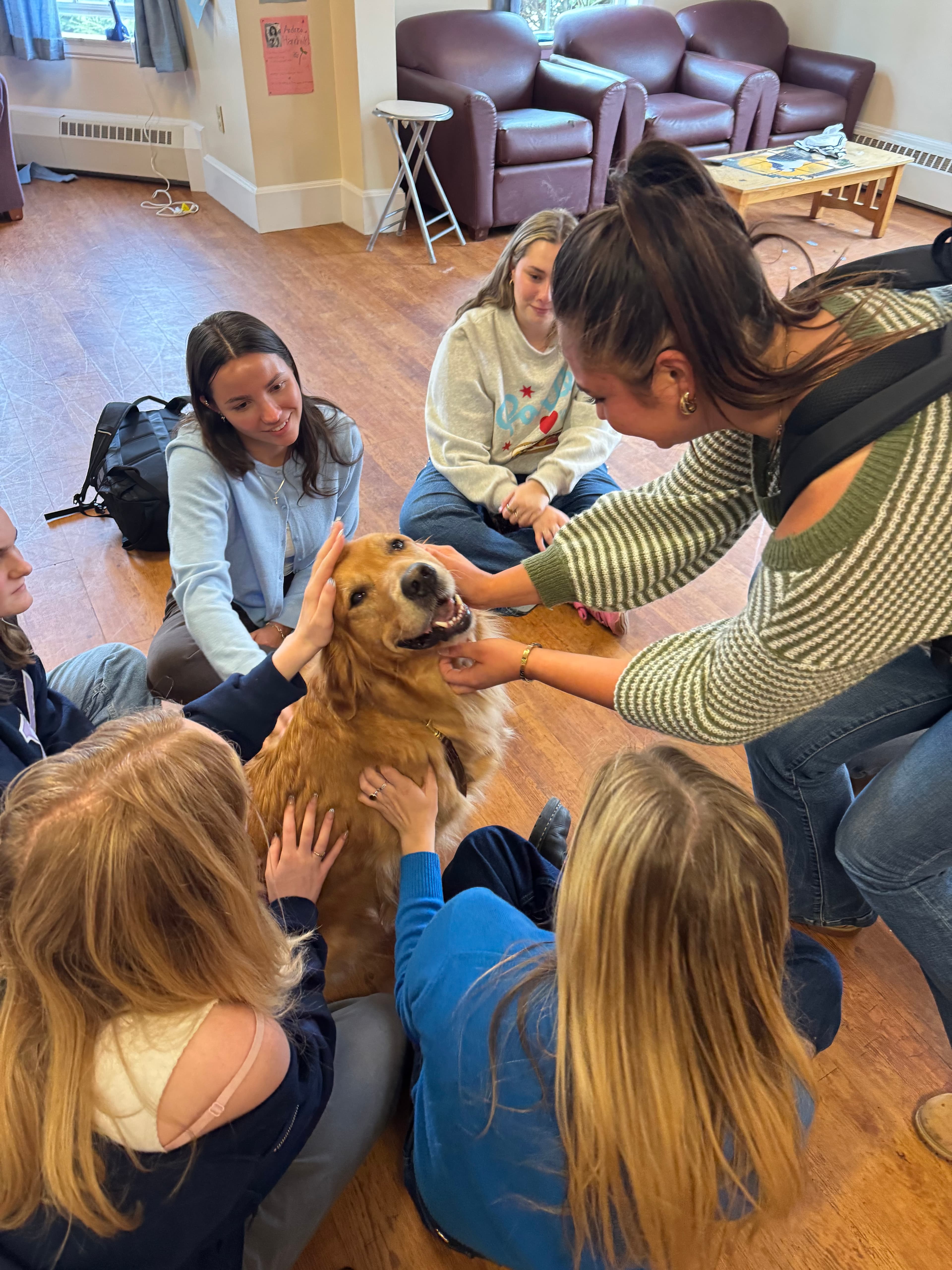 Sisters gathered on the floor of the haus around Poppy, the therapy dog